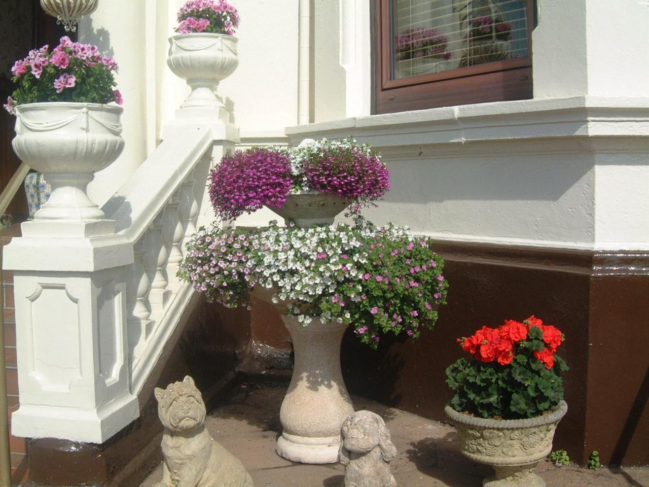 Manor House B And B Larne Esterno foto