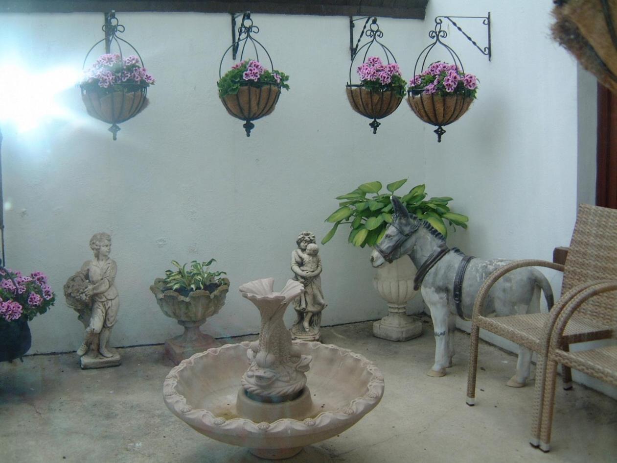 Manor House B And B Larne Esterno foto