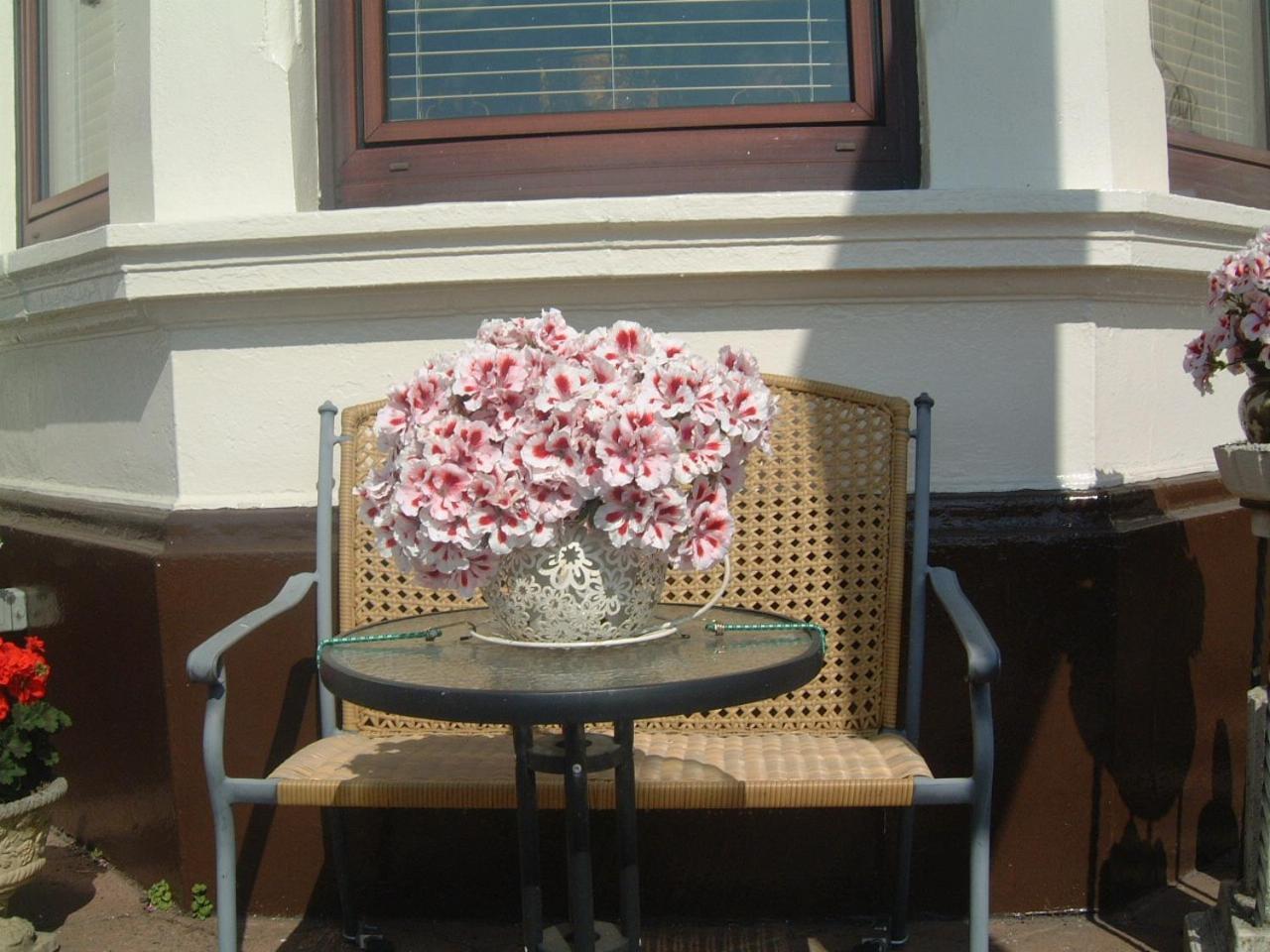 Manor House B And B Larne Esterno foto